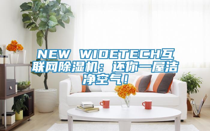 NEW WIDETECH互聯(lián)網(wǎng)除濕機(jī)：還你一屋潔凈空氣！