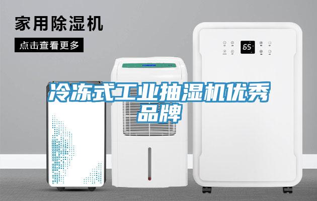 冷凍式工業抽濕機優秀品牌