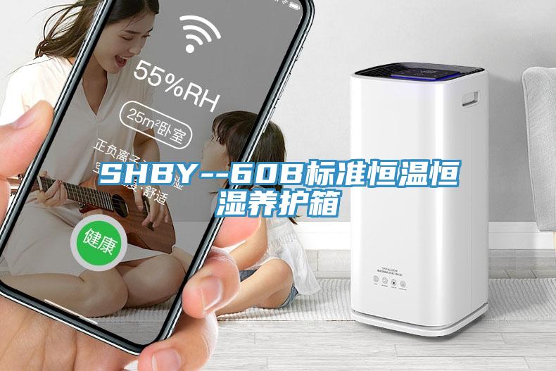 SHBY--60B標準恒溫恒濕養護箱