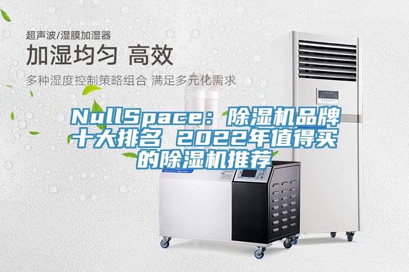 NullSpace：除濕機(jī)品牌十大排名 2022年值得買(mǎi)的除濕機(jī)推薦