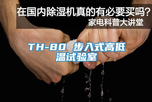 TH-80 步入式高低溫試驗室