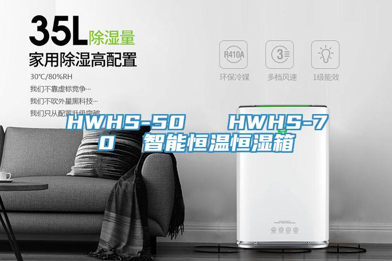 HWHS-50   HWHS-70  智能恒溫恒濕箱