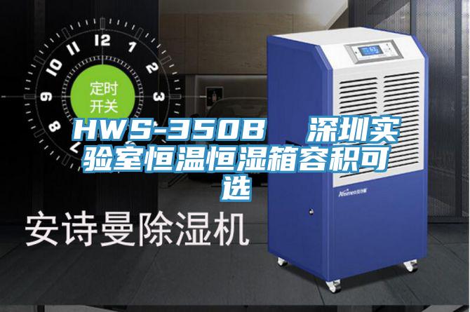 HWS-350B  深圳實驗室恒溫恒濕箱容積可選