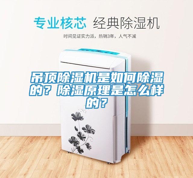 吊頂除濕機是如何除濕的？除濕原理是怎么樣的？