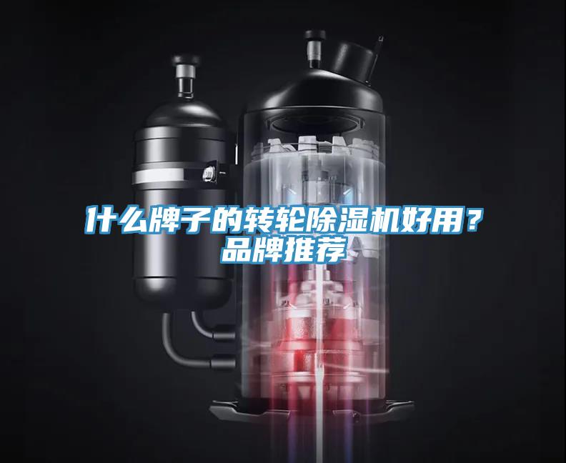 什么牌子的轉輪除濕機好用？品牌推薦