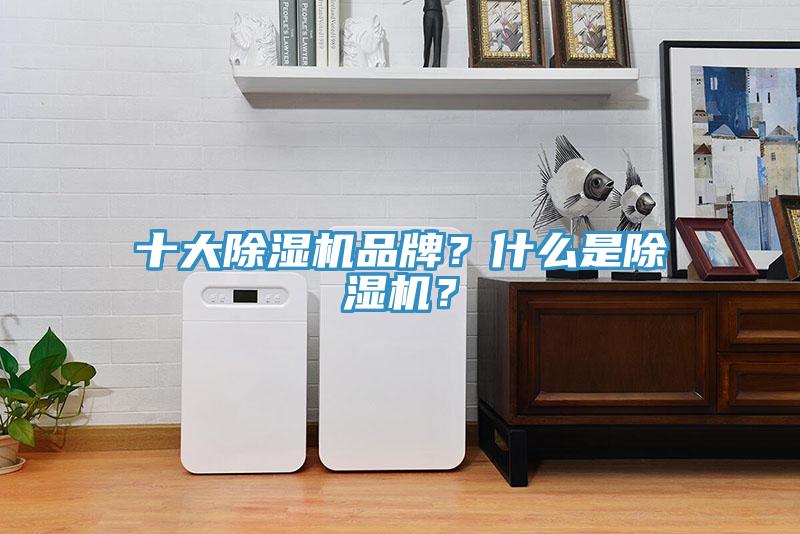 十大除濕機(jī)品牌？什么是除濕機(jī)？