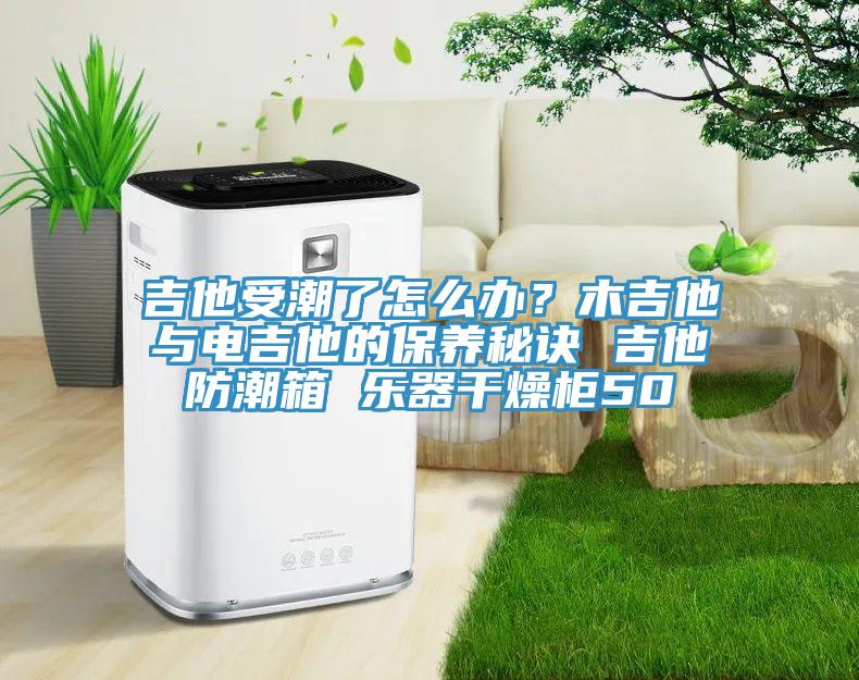 吉他受潮了怎么辦？木吉他與電吉他的保養秘訣 吉他防潮箱 樂器干燥柜50