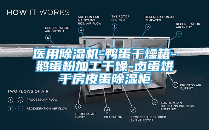 醫用除濕機-鴨蛋干燥箱-鵝蛋粉加工干燥-鹵蛋烘干房皮蛋除濕柜