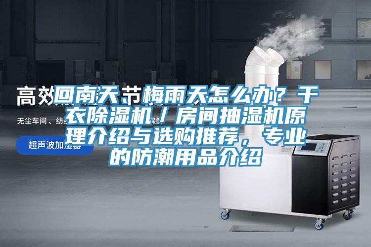 回南天、梅雨天怎么辦？干衣除濕機／房間抽濕機原理介紹與選購?fù)扑]，專業(yè)的防潮用品介紹