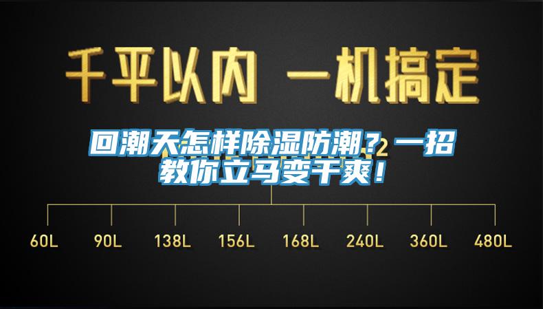 回潮天怎樣除濕防潮？一招教你立馬變干爽！