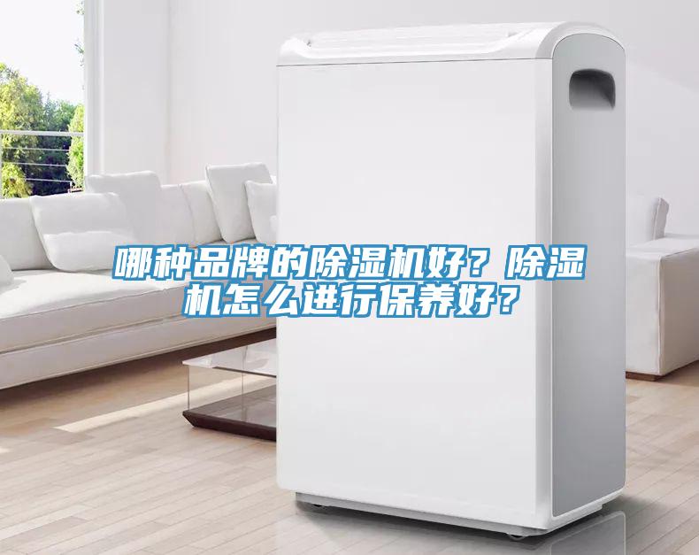 哪種品牌的除濕機好？除濕機怎么進行保養好？