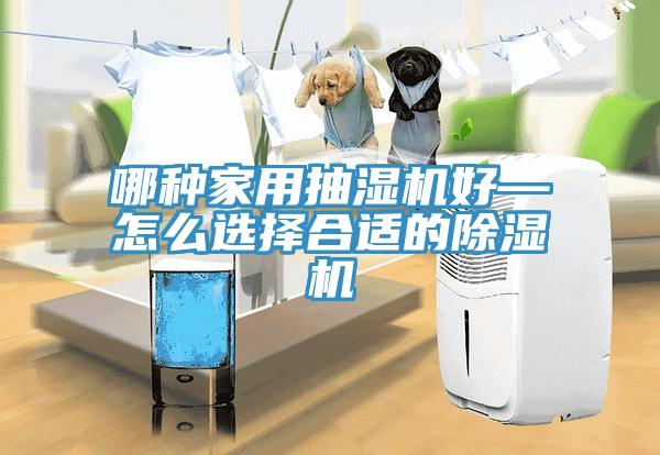 哪種家用抽濕機好—怎么選擇合適的除濕機