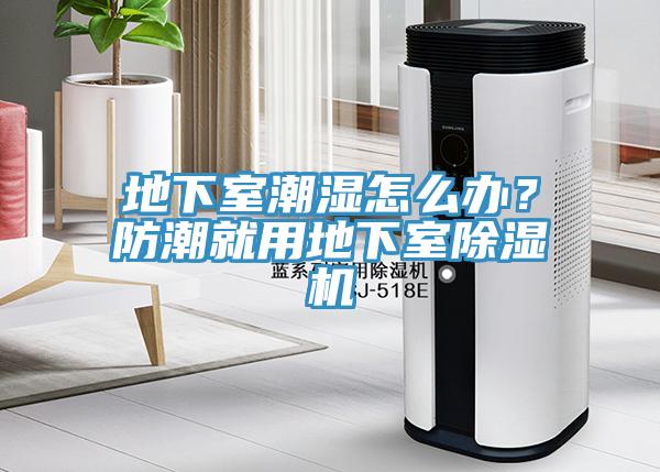 地下室潮濕怎么辦？防潮就用地下室除濕機