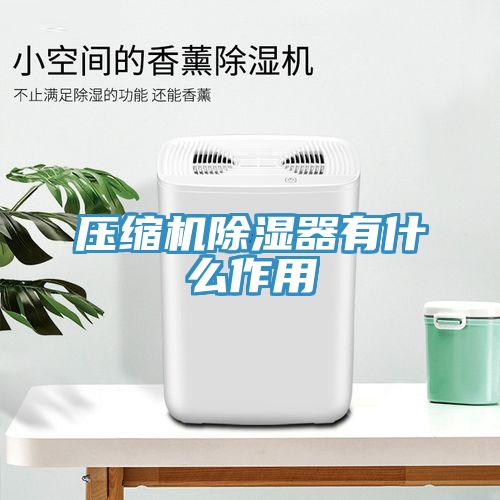 壓縮機除濕器有什么作用