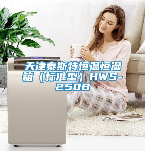 天津泰斯特恒溫恒濕箱（標準型）HWS-250B