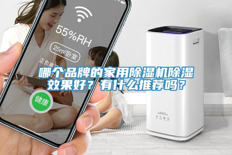 哪個品牌的家用除濕機除濕效果好？有什么推薦嗎？