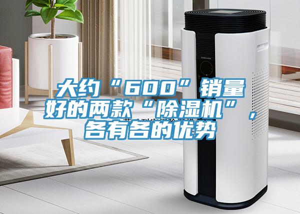 大約“600”銷量好的兩款“除濕機”，各有各的優勢