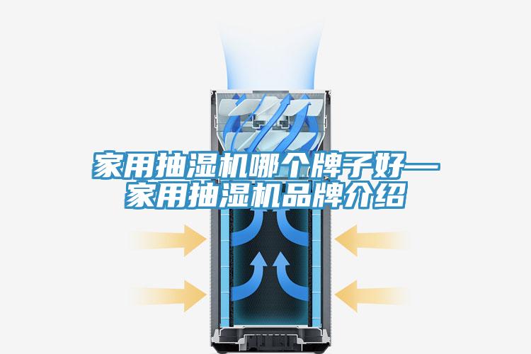 家用抽濕機哪個牌子好—家用抽濕機品牌介紹