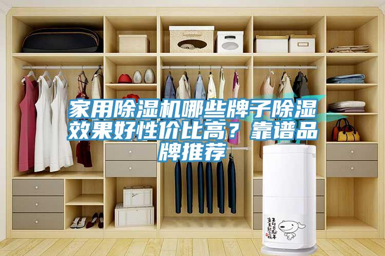 家用除濕機哪些牌子除濕效果好性價比高？靠譜品牌推薦