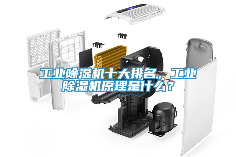 工業除濕機十大排名，工業除濕機原理是什么？