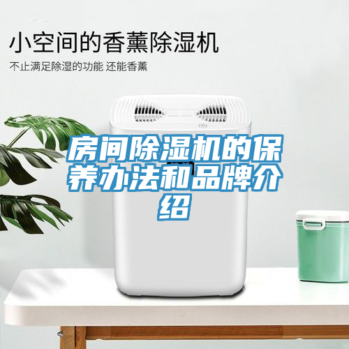 房間除濕機的保養辦法和品牌介紹