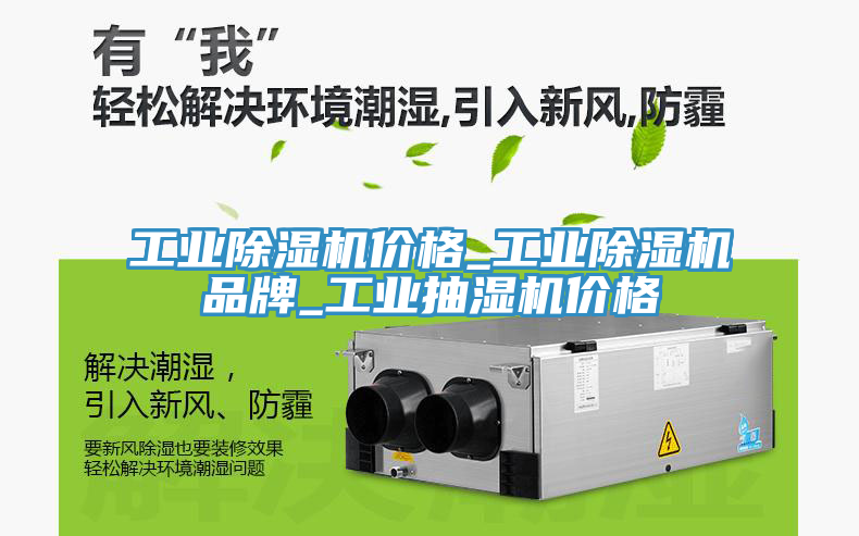 工業除濕機價格_工業除濕機品牌_工業抽濕機價格