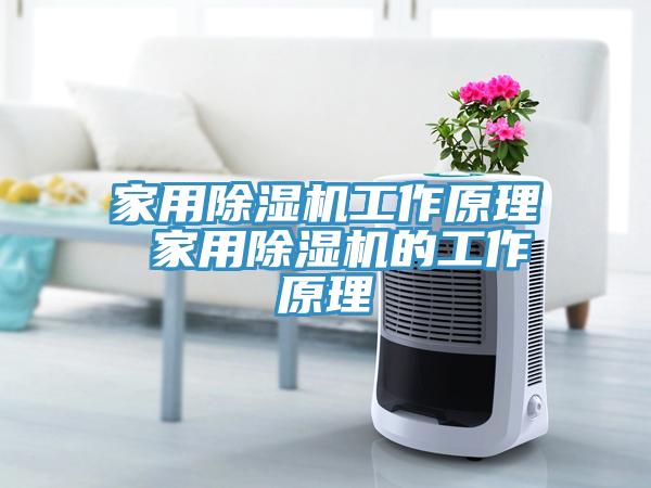 家用除濕機工作原理 家用除濕機的工作原理