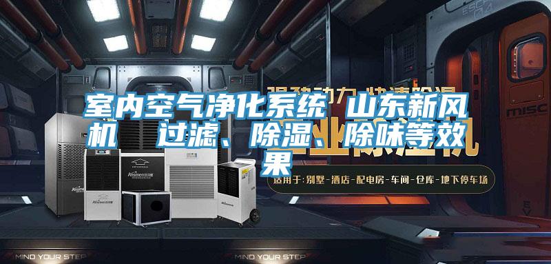 室內空氣凈化系統 山東新風機  過濾、除濕、除味等效果