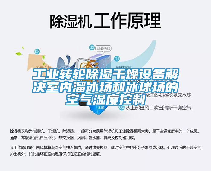 工業轉輪除濕干燥設備解決室內溜冰場和冰球場的空氣濕度控制