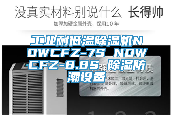 工業耐低溫除濕機NDWCFZ-7S NDWCFZ-8.8S 除濕防潮設備