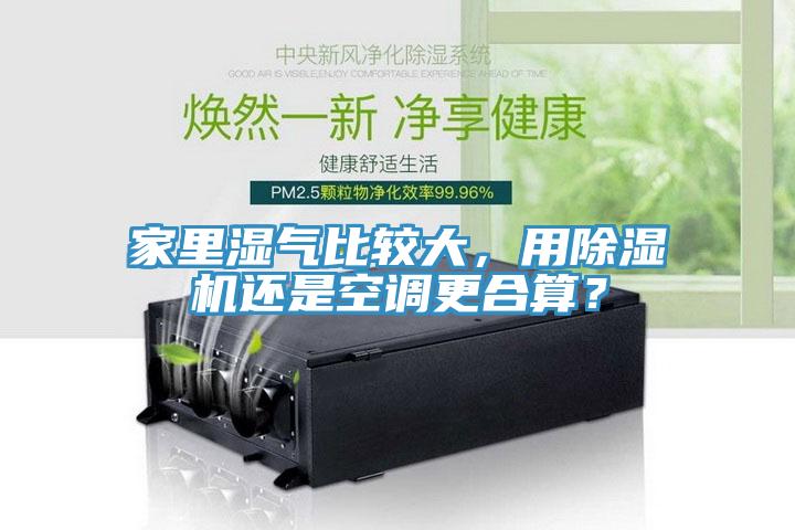 家里濕氣比較大，用除濕機還是空調更合算？