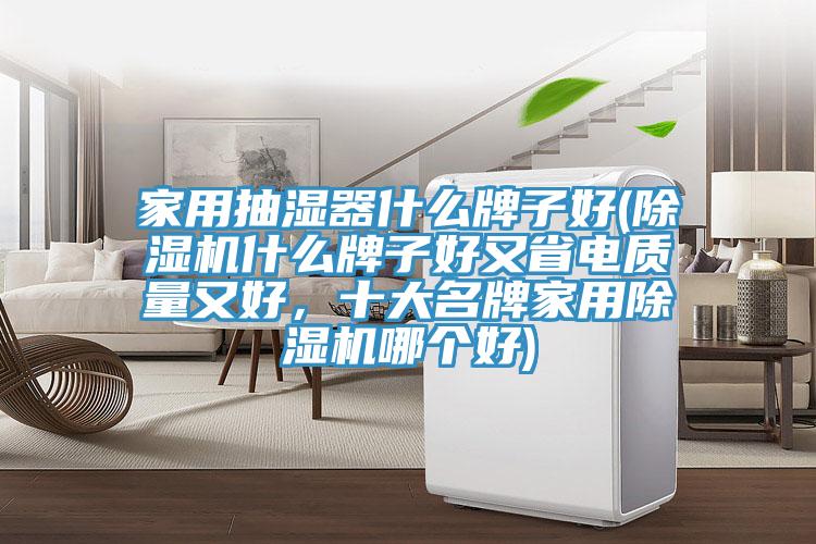 家用抽濕器什么牌子好(除濕機什么牌子好又省電質量又好，十大名牌家用除濕機哪個好)