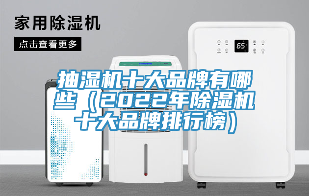 抽濕機十大品牌有哪些（2022年除濕機十大品牌排行榜）