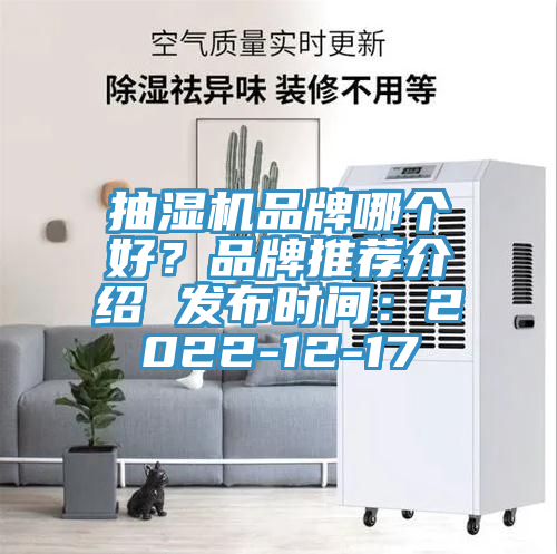 抽濕機品牌哪個好？品牌推薦介紹 發布時間：2022-12-17