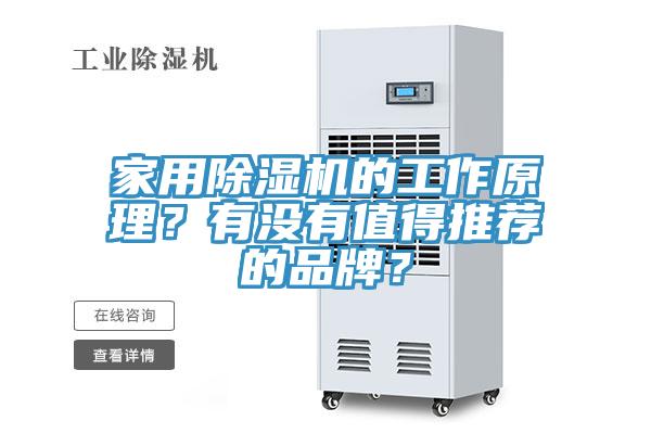 家用除濕機的工作原理？有沒有值得推薦的品牌？