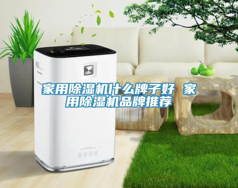 家用除濕機什么牌子好 家用除濕機品牌推薦