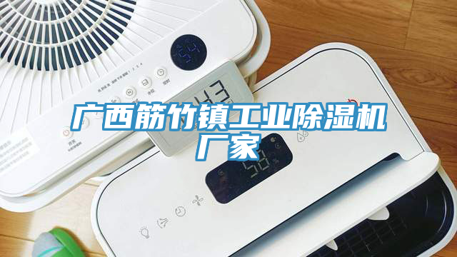 廣西筋竹鎮工業除濕機廠家