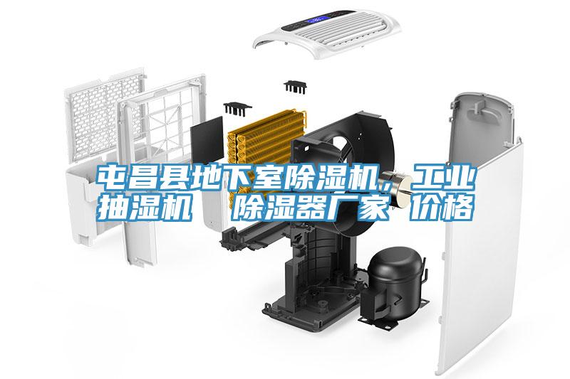 屯昌縣地下室除濕機(jī)，工業(yè)抽濕機(jī)  除濕器廠家 價格