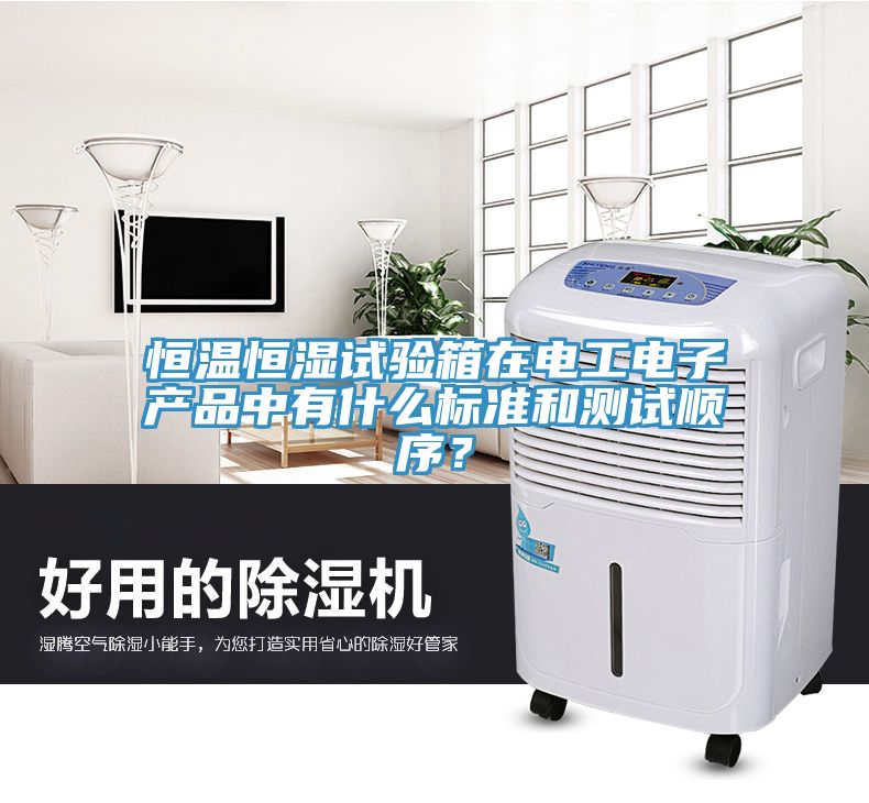 恒溫恒濕試驗箱在電工電子產品中有什么標準和測試順序？