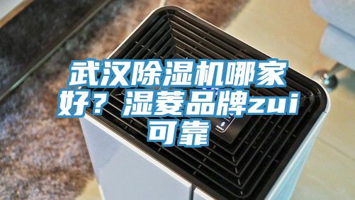 武漢除濕機哪家好？濕菱品牌zui可靠