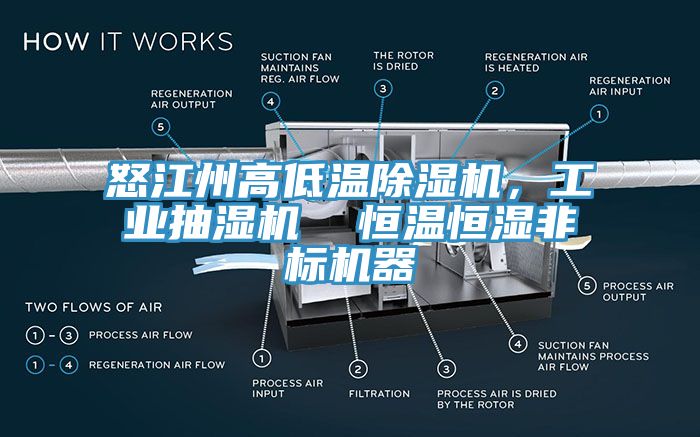 怒江州高低溫除濕機(jī)，工業(yè)抽濕機(jī)  恒溫恒濕非標(biāo)機(jī)器