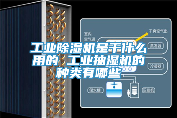 工業除濕機是干什么用的 工業抽濕機的種類有哪些