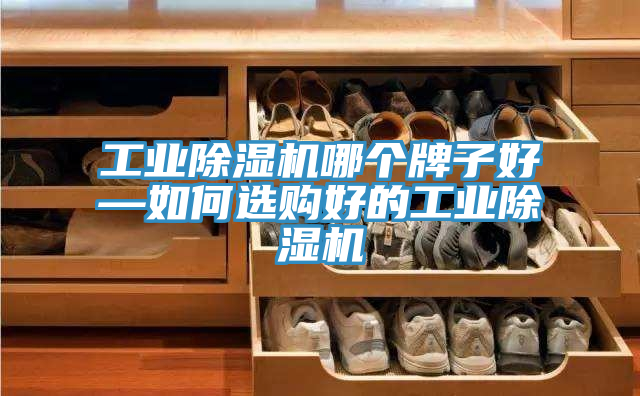 工業(yè)除濕機哪個牌子好—如何選購好的工業(yè)除濕機