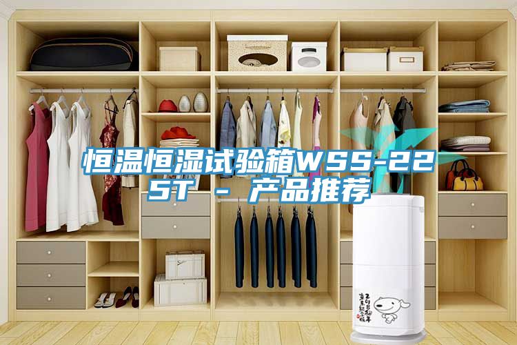 恒溫恒濕試驗箱WSS-225T - 產品推薦