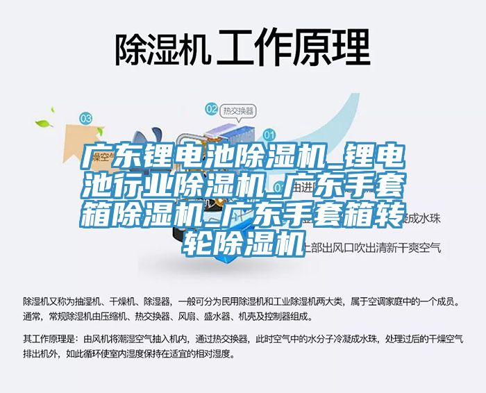 廣東鋰電池除濕機_鋰電池行業除濕機_廣東手套箱除濕機_廣東手套箱轉輪除濕機