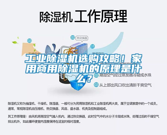 工業除濕機選購攻略！家用商用除濕機的原理是什么？