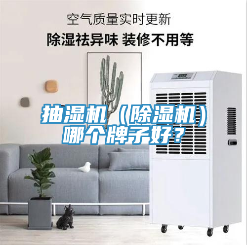 抽濕機（除濕機）哪個牌子好？