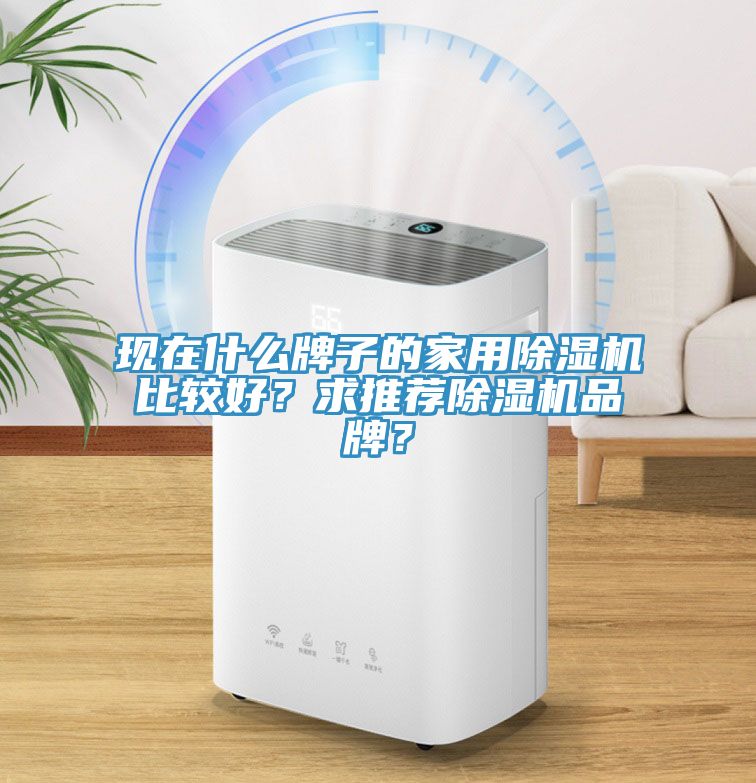 現在什么牌子的家用除濕機比較好？求推薦除濕機品牌？