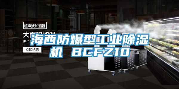 海西防爆型工業除濕機 BCFZ10