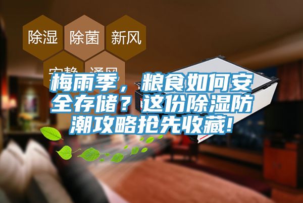 梅雨季，糧食如何安全存儲(chǔ)？這份除濕防潮攻略搶先收藏!